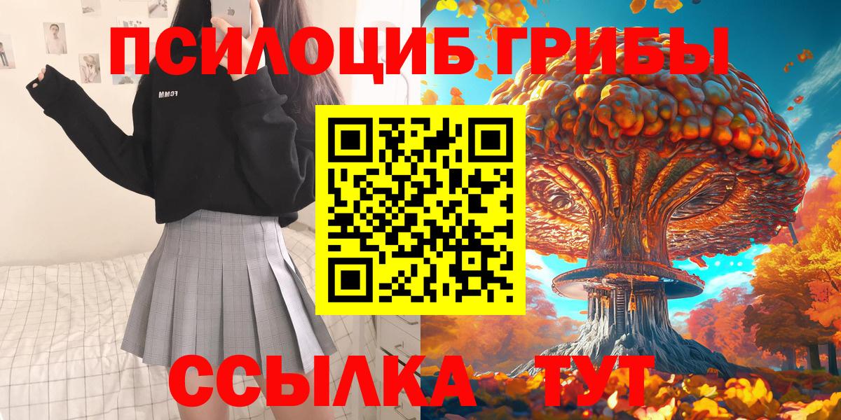 Псилоцибиновые грибы GOLDEN TEACHER  где можно купить   Зима  Вход с VPN 